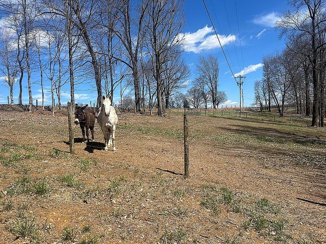 Image of 1367 Tick Ridge Rd
