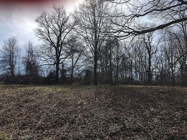 Image of 0 Booger Swamp Rd