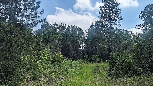Photo of Camp 5 Rd, Crystal Falls, MI