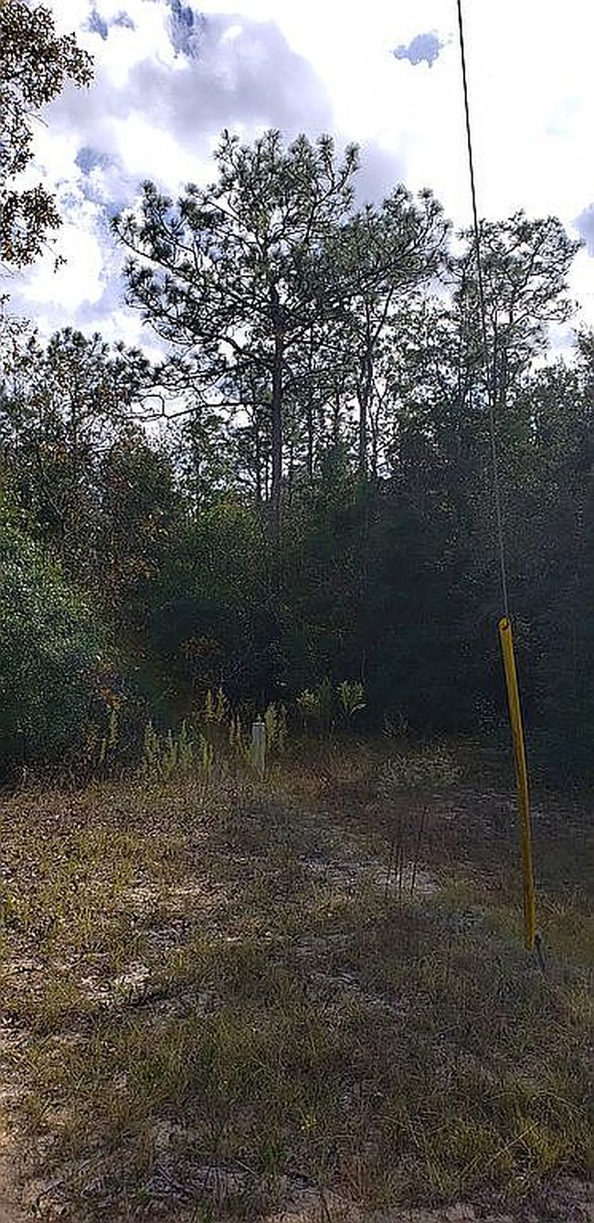 Image of 6133 Cornell Rd