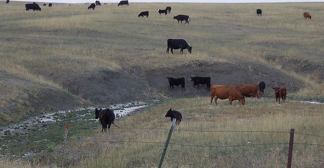 Additional photo 2 of property located at 17763 Twilight Rd