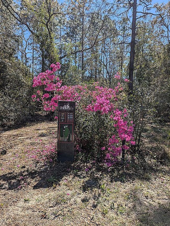 Image of 9940 N Langdon Rd