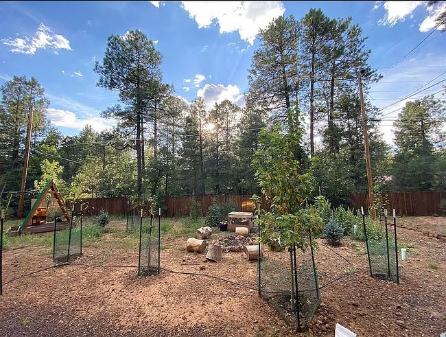 Photo of 4192 Bucking Horse Trl, Pinetop, AZ