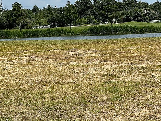 Image of 3977 Palmetto Dr