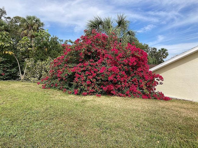Image of 6023 Oleander Ave