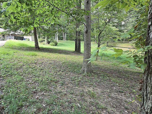 Photo of 590 Great Country Estate Rd, Hawesville, KY