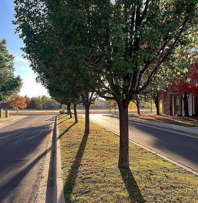 Photo of 5620 Fossil Creek Pkwy Unit 5203
