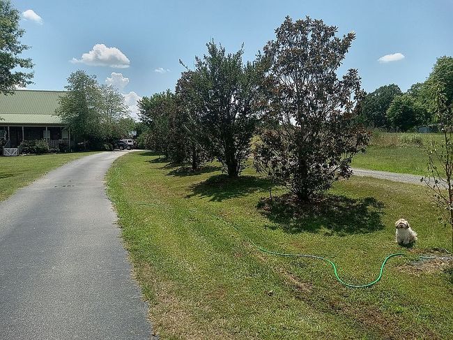 Photo of 1847 Bertha Knight Rd, Lancaster, SC