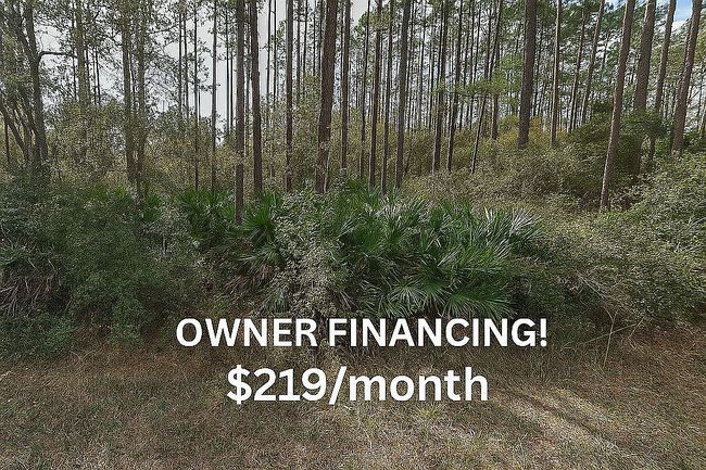 Photo of 113 Dunaway St, Interlachen, FL
