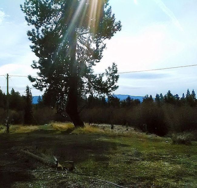 Photo of 54990 Tamarack Rd, Bend, OR