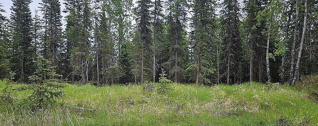 Photo of 20820 Ray St, Kasilof, AK