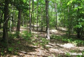 Photo of 11234 Cove Lake Road (Lot 12), Lusby, MD