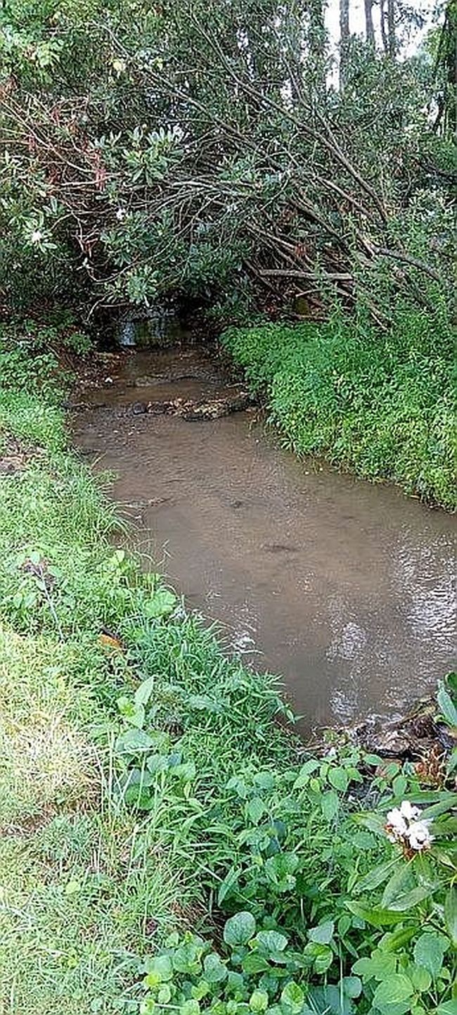 Image of 5664 Us Highway 21 S