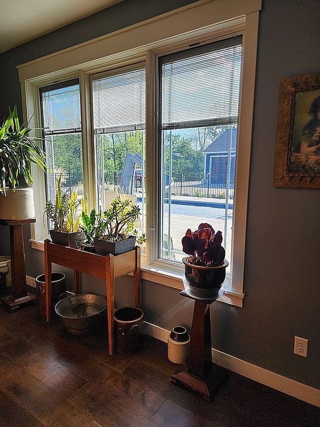 Photo of 902 S Roche St, Knoxville, IA