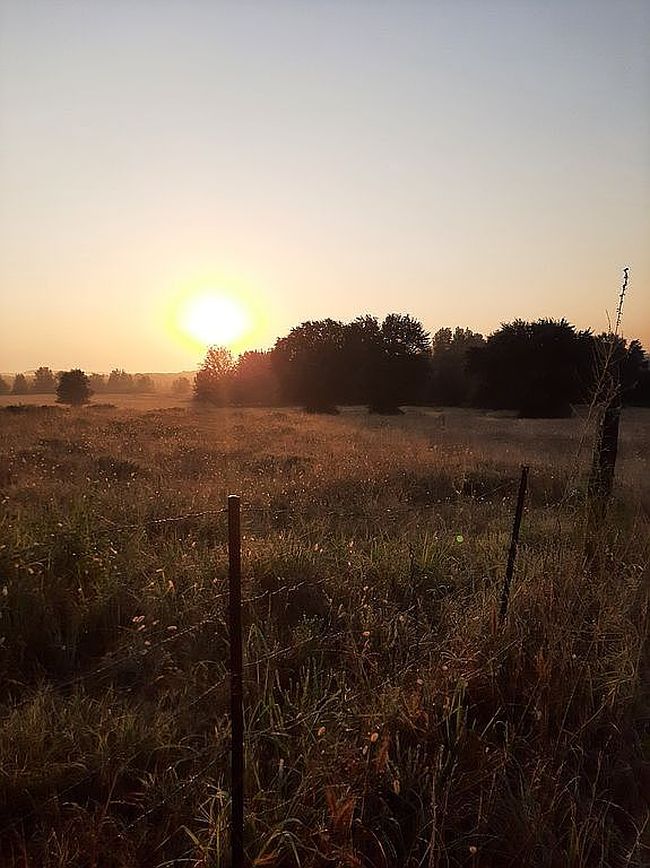 Photo of 6190 Highway 92 E, Bee Branch, AR
