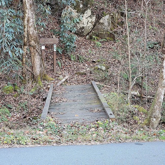 Image of 993 Meadow Branch Rd