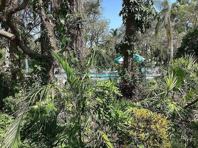 Image of 363 Springdale Dr
