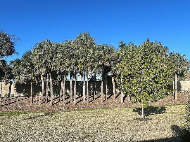Image of 3813 Treasure Oak Way #Ft