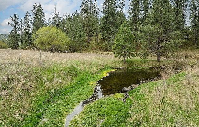 0 Fisher Rd E Lot 2, Reardan, WA