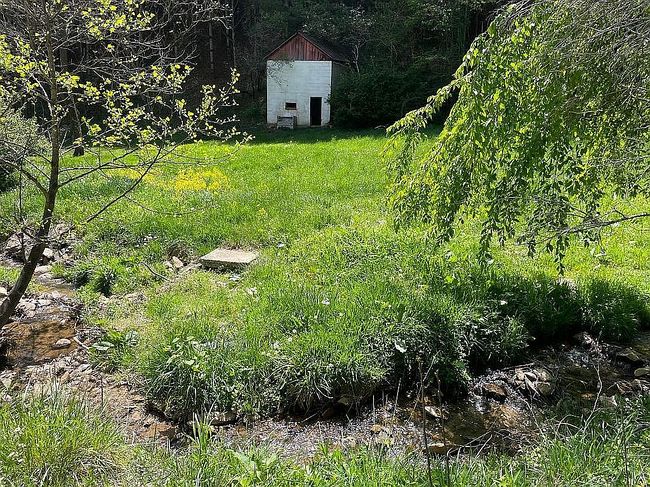 Image of 413 Low Gap Rd