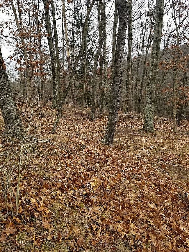 Image of 3011 Wexford Rd