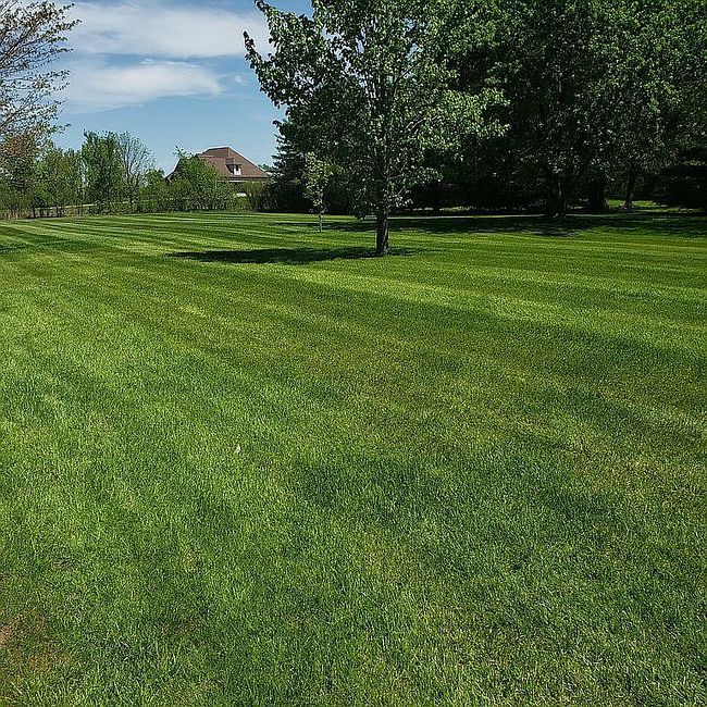 Additional photo 3 of property located at 8065 Kennard Rd