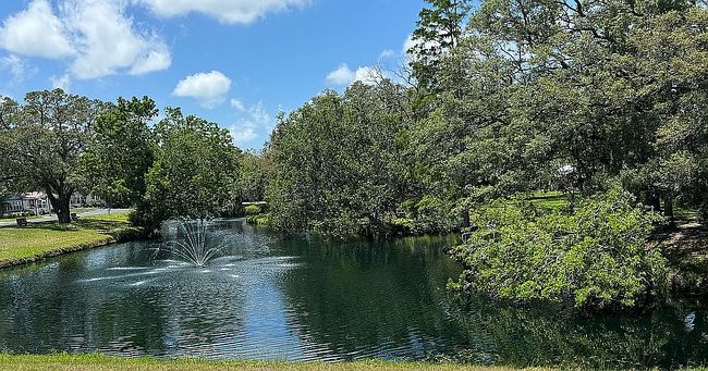 Image of 795 County Road 1 Lot 104