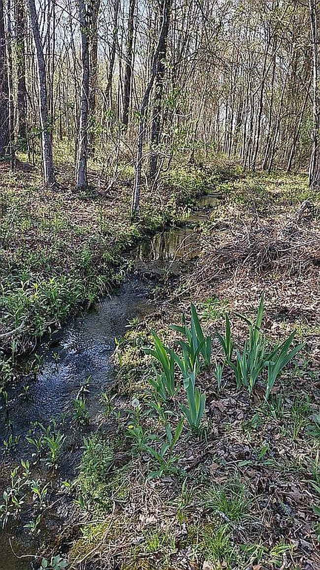 Image of 558 County Road 814