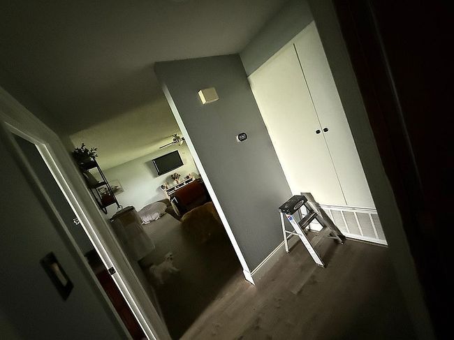 Image of 316 Taz