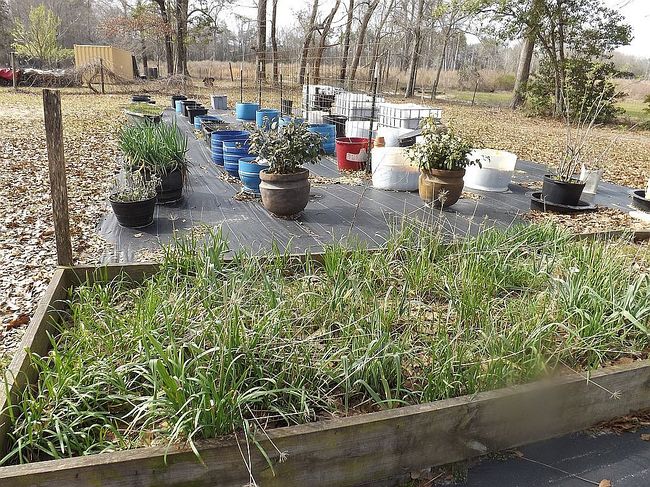 Image of 230 Old Stage Rd