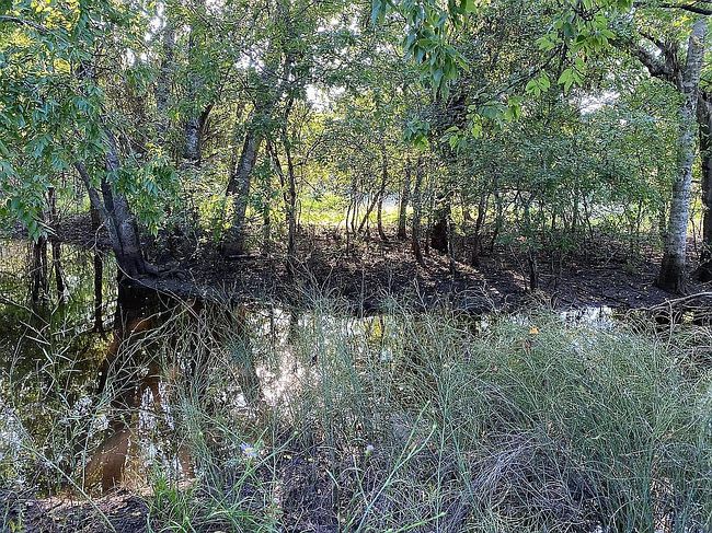 Photo of 1870 W Fm 140 Tract 5025, Jourdanton, TX