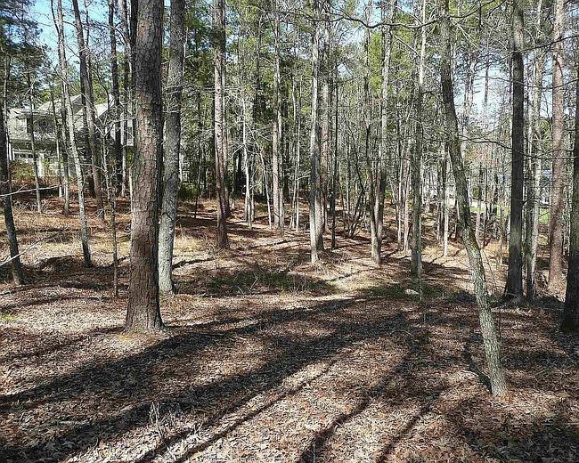 Photo of 1031 Cawthorne Ln, Greensboro, GA
