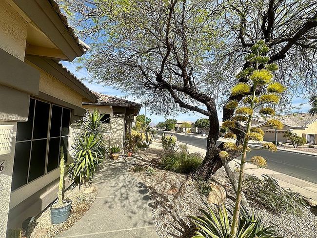 Image of 9326 E Princess Dr