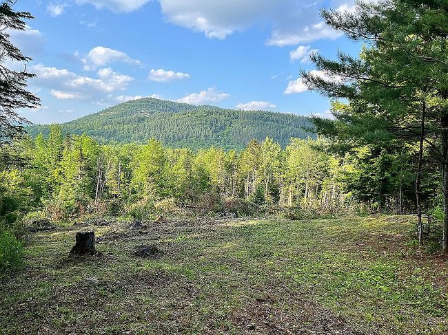 Photo of 684 Olmstedville Rd, Pottersville, NY