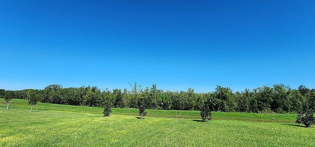 Photo of 713 Sarner Pass Way, Winter Haven, FL
