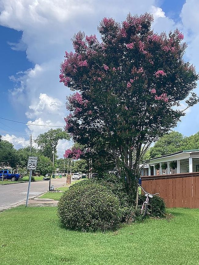 Photo of 4811 Newman Dr, Pascagoula, MS
