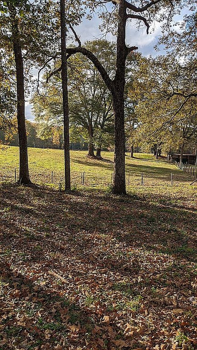 Photo of 300 N Highway 113, Carrollton, GA