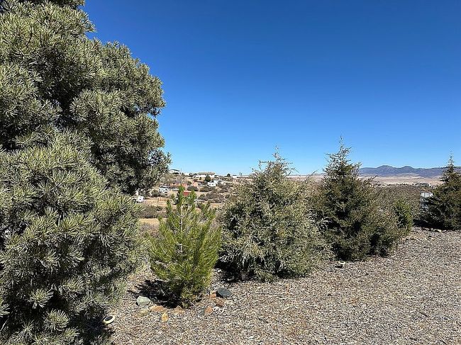 Image of 955 S Martha Way