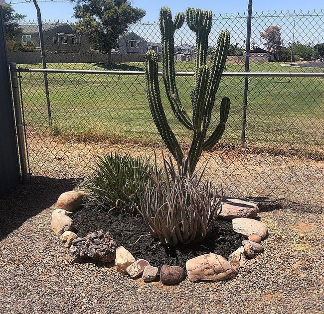 Photo of 2434 E Main St Lot 66, Mesa, AZ