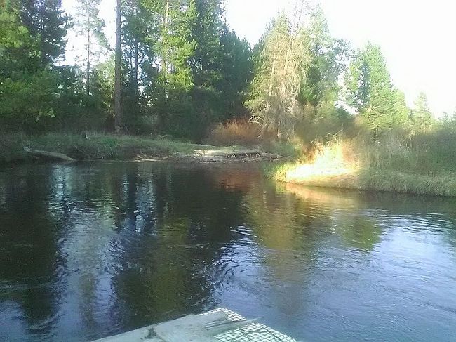 Image of 54990 Tamarack Rd