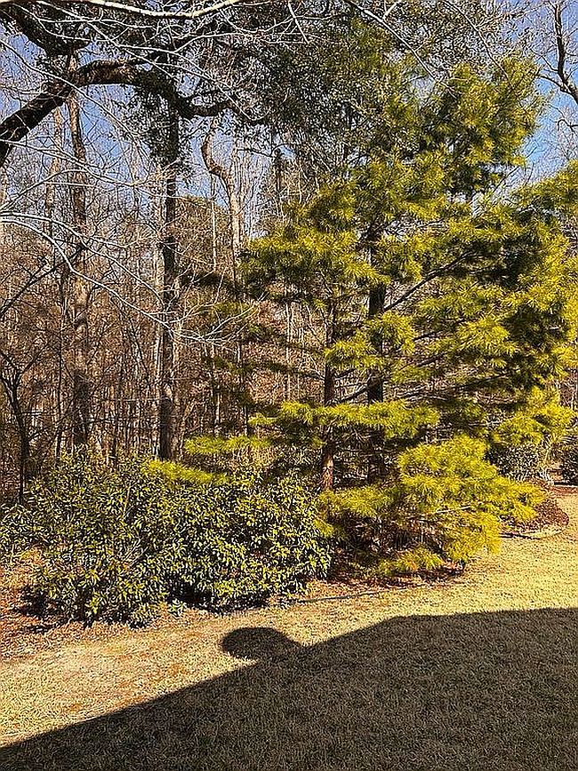 Image of 130 Phoebe Rd