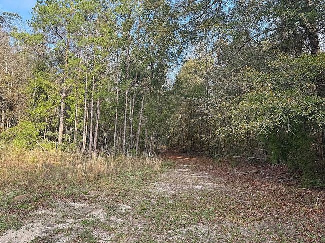 Image of 26303 County Road 21