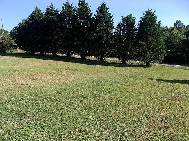 Image of 121 Red Oak Ln