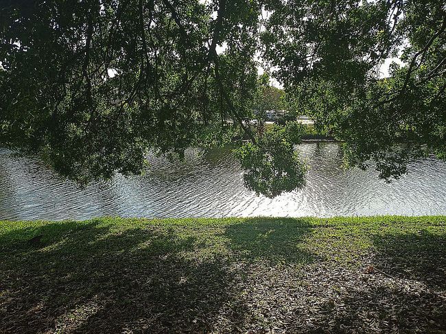 Image of 2231 Nw 34th Ter