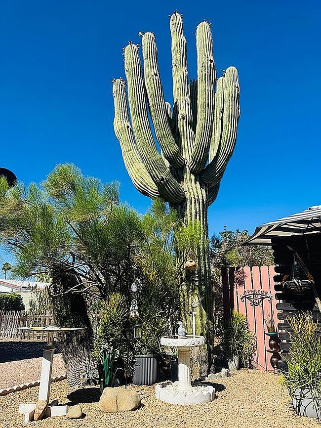 Photo of 351 N Meridian Rd #128, Apache Junction, AZ
