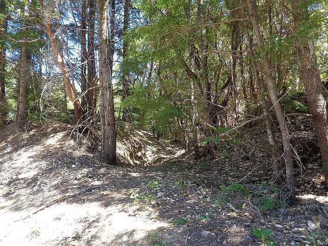 Photo of 863 Toth Rd, Whitethorn, CA
