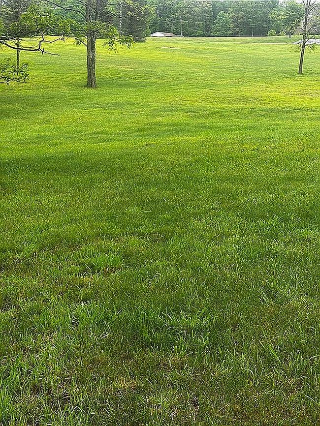 Photo of 183 Rebecca Ln, Beaver, WV