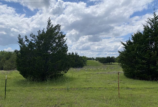 Preview of property located at 10161 County Road 505
