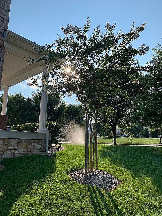Image of 4709 Ardagh Cir