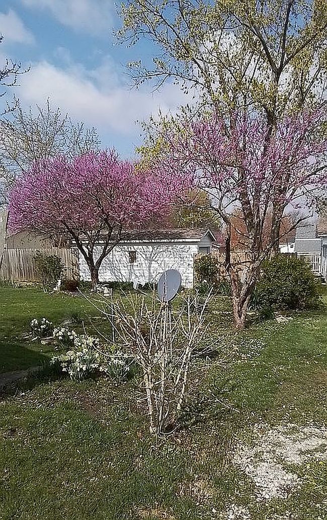 Image of 205 Nw Cross St